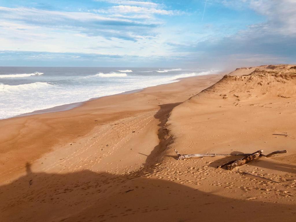 Joli Appartement A 300 M De La Plage Labenne Dış mekan fotoğraf